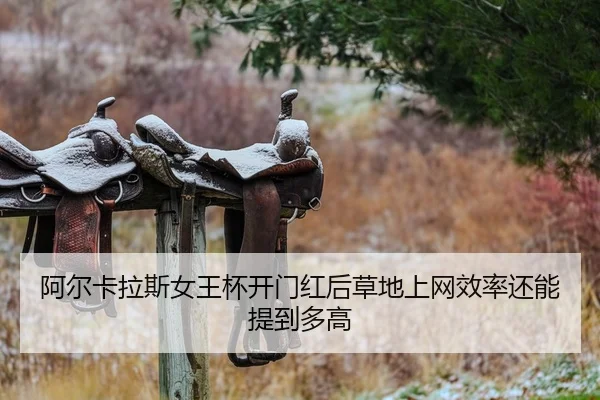 a-er-ka-la-si-nv-wang-bei-kai-men-hong-hou-cao-di-shang-wang-xiao-lv-hai-neng-ti-dao-duo-gao-2-984.jpg